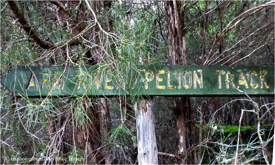 arm river pelion track